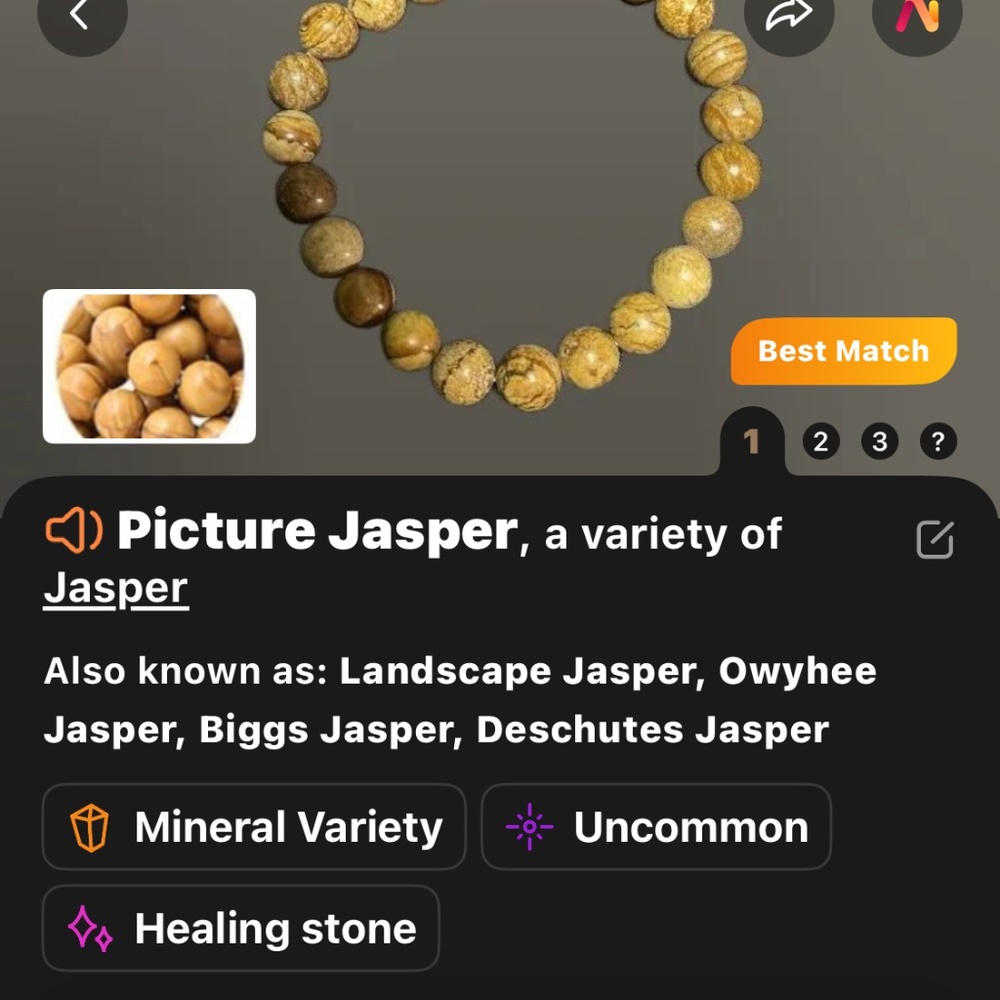 Wooden/Picture Jasper Round Crystal Earrings w/Smoky Quartz Colored Rondelles - Picture 7 of 8